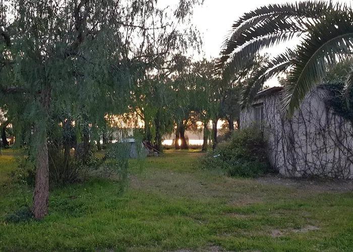 Il Piccolo *